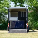 VAN 3 PLACES CHARGEMENT DIAGONAL CHEVAL LIBERTÉ MAXI 3