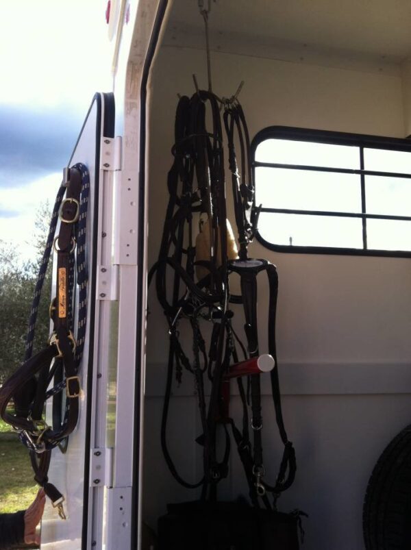 IMG_2200 TRANS BOX NEW SVELTO 3