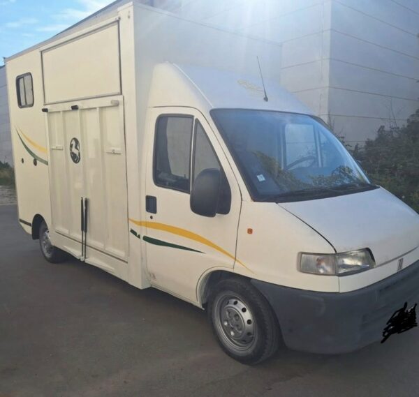 Camion Chevaux Fiat Ducato