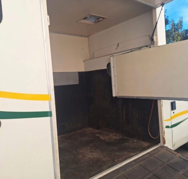 Camion Chevaux Fiat Ducato