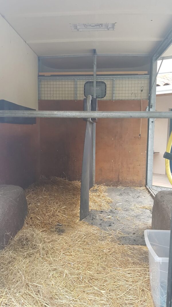 camion chevaux Renault